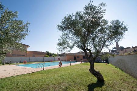 Imagen Piscina pública de Albero Alto